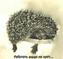 VE3-PPbw2z4.webp