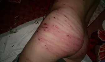 GSQTdqgGAyI.webp