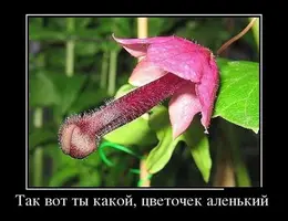 image (15).webp