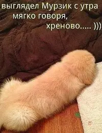 image (21).webp