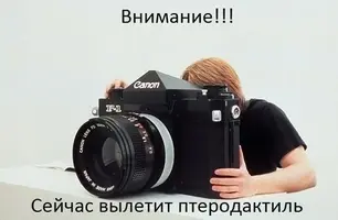 image (23).webp
