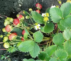 IMG_20190727_215334.webp