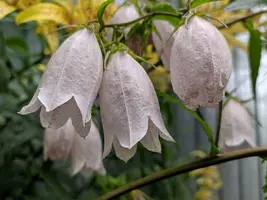 IMG_20190728_171204.webp