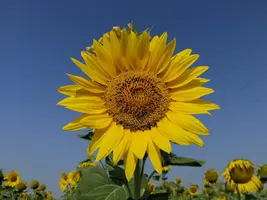 IMG_20190729_090202-3456x2592.webp