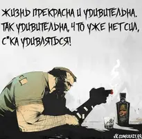 IRpEwfSswI0.webp