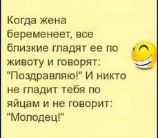 UID223315_1564508455_13.webp