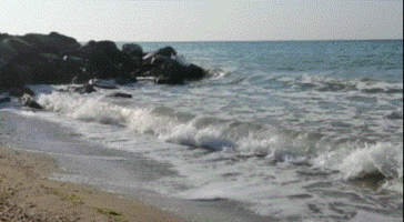 IMG_qevvjf.gif