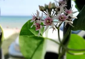 IMG_20190730_151311-1285x891-963x668.webp
