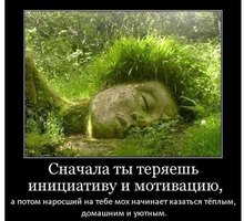 UID445048_1564593133_64-1.webp