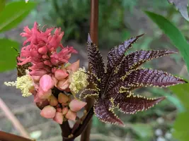 IMG_20190801_170910.webp