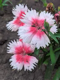 IMG_20190801_171040.webp