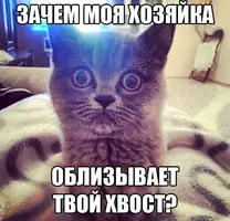 174278_0.webp