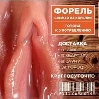 giDsNnnq-NQ.webp