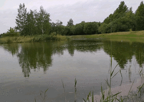 IMG_ww6nhg.gif