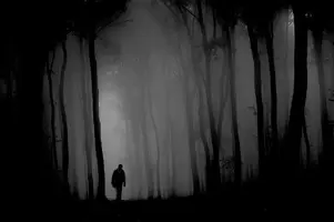man-in-forest.webp