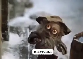 RZxxuvzOXf8.webp
