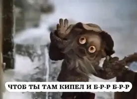 Z3vo-AHWpWg.webp