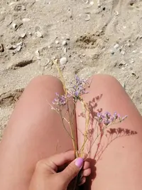 IMG-20190806-WA0035.webp
