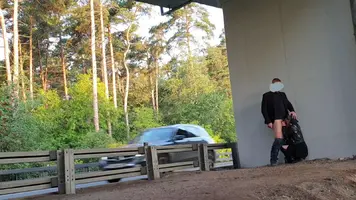 Трасса.webp