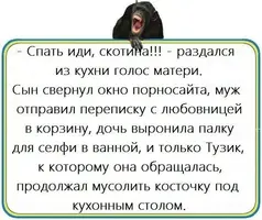 UID223315_1564956199_100.webp