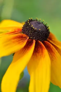 _DSC4963.webp