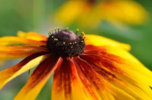 _DSC4964.webp