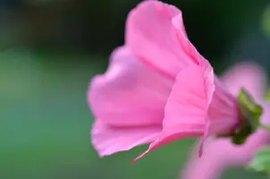 _DSC4967.webp