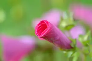 _DSC4968.webp