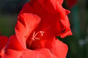 _DSC4958.webp