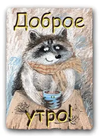 12345.webp