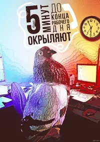 1441791775_1713669745.webp
