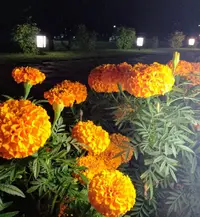IMG_20190809_230014.webp