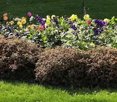 IMG_20190811_160617.webp