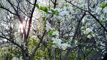 20190509_172143_HDR_Fotor.webp
