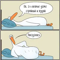 sbPjclLHSjc.webp