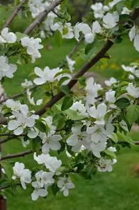 _DSC3532_1.webp