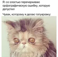 wYibv9GSf_M.webp