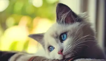 post_5c124788ce9da.webp
