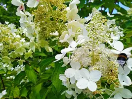 IMG_20190815_132734-EFFECTS-min.webp