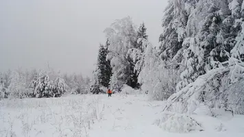 20181231_поход за елкой_00013_Fotor.webp