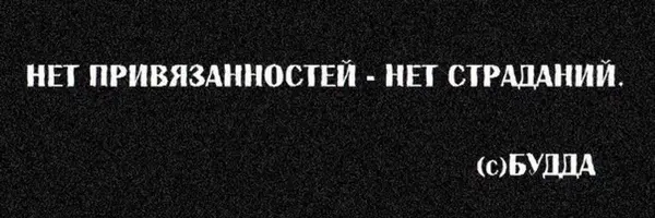 1500x500.webp
