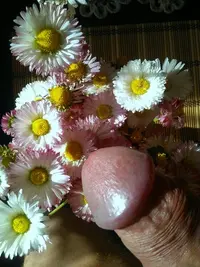 tmp-cam-718215471.webp