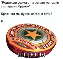 13353906.webp