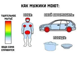 13354109.webp