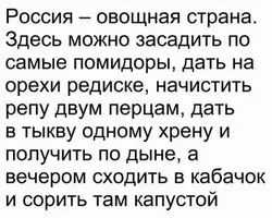 3.webp