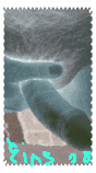 20190817_180511.gif