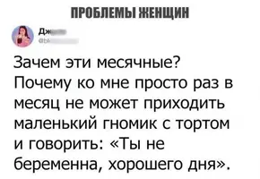 10204397.webp