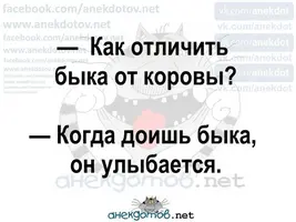 8D72EE3C-D5C5-469E-8956-1A3F78F4F80E.webp