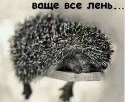 5C6D6064-5918-43B7-9AF4-0F0E7154EC58.webp