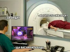 13360159.webp